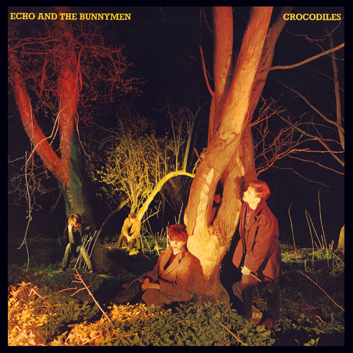 クロコダイルズ