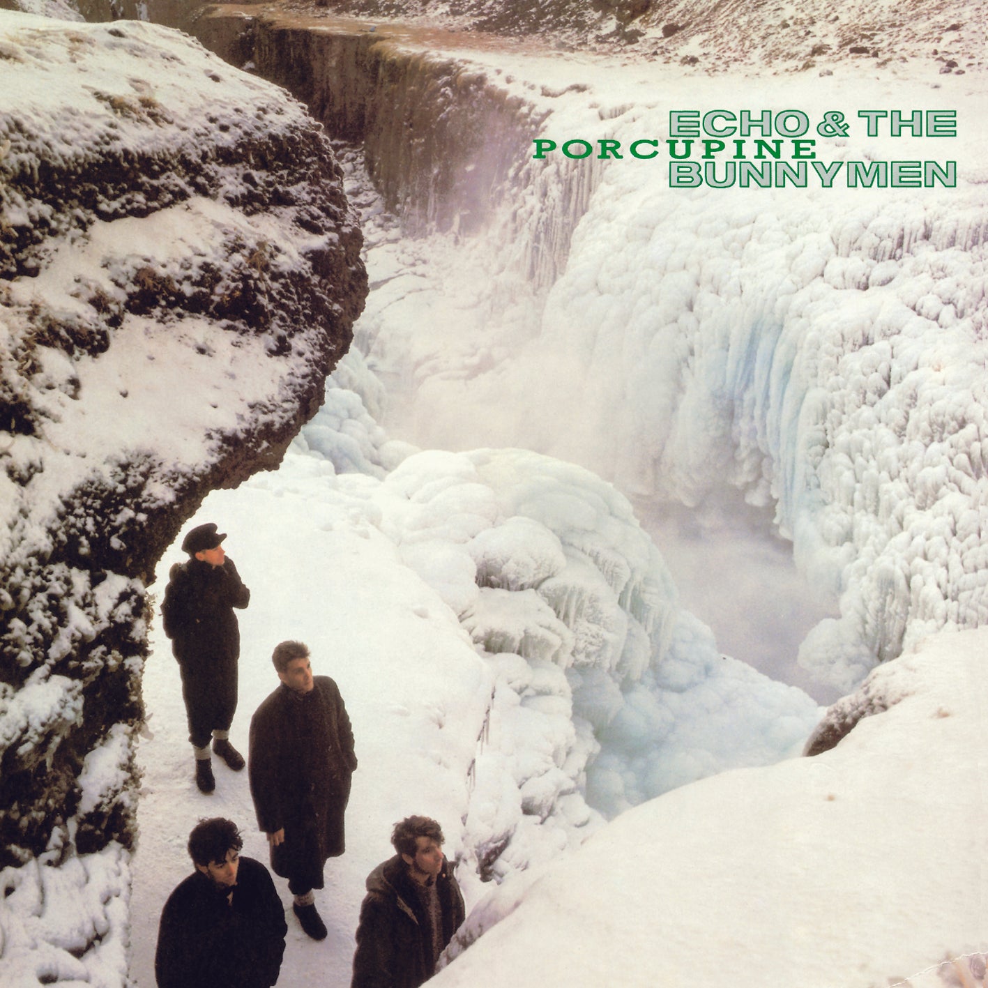 ポーキュパイン(やまあらし)