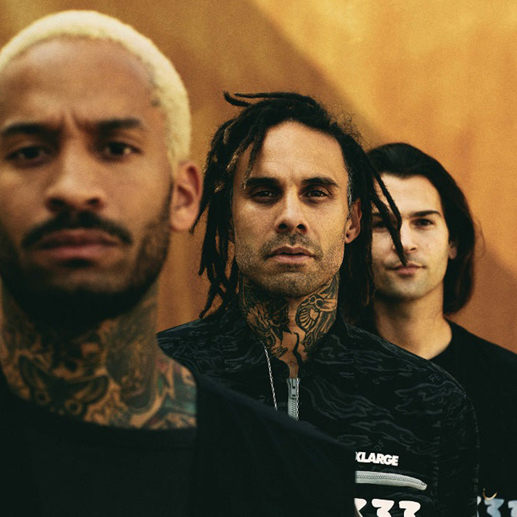FEVER 333