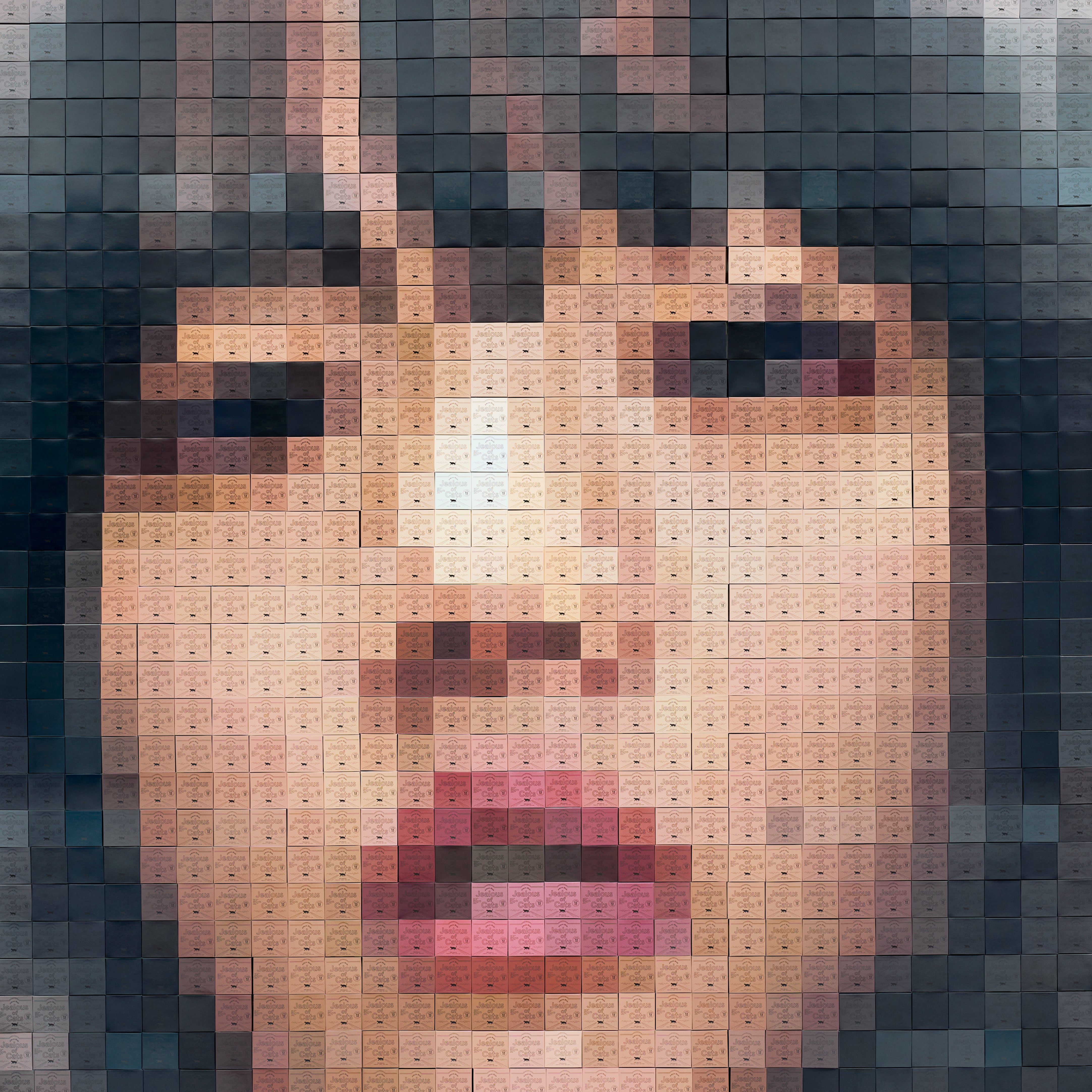 猫にジェラシー【アナログレコード】