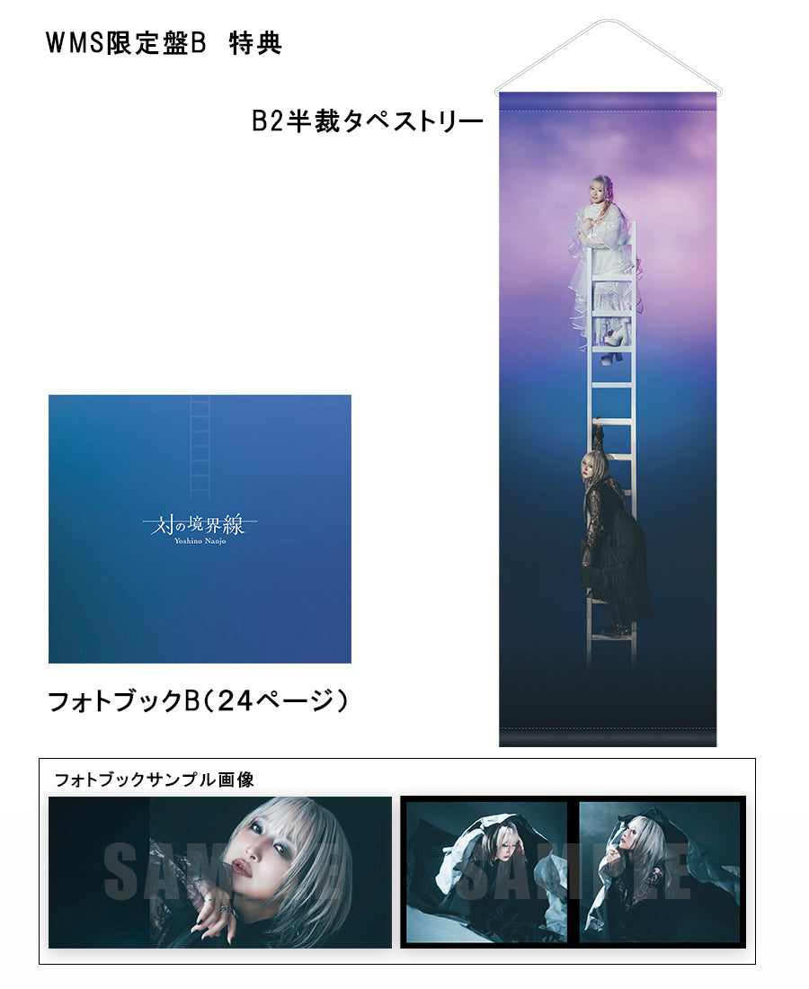 対の境界線（WMS限定盤B）