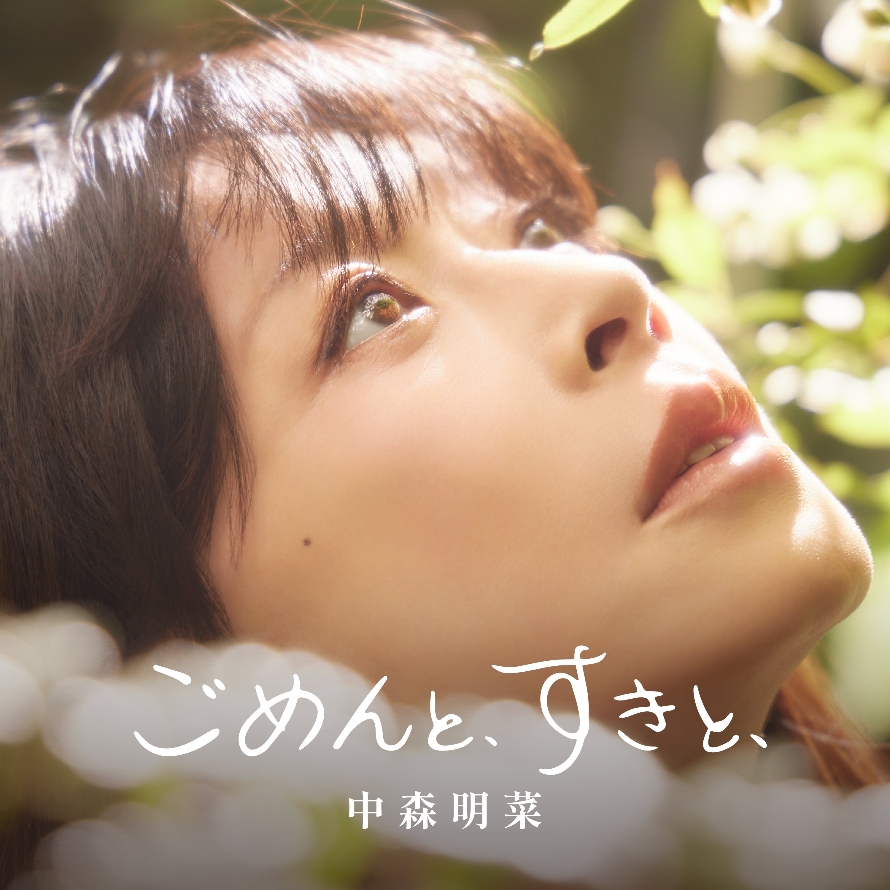 ごめんと、すきと、【通常盤CD】