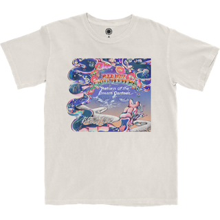 【国内盤】リターン・オブ・ザ・ドリーム・カンティーン + T-Shirt セット