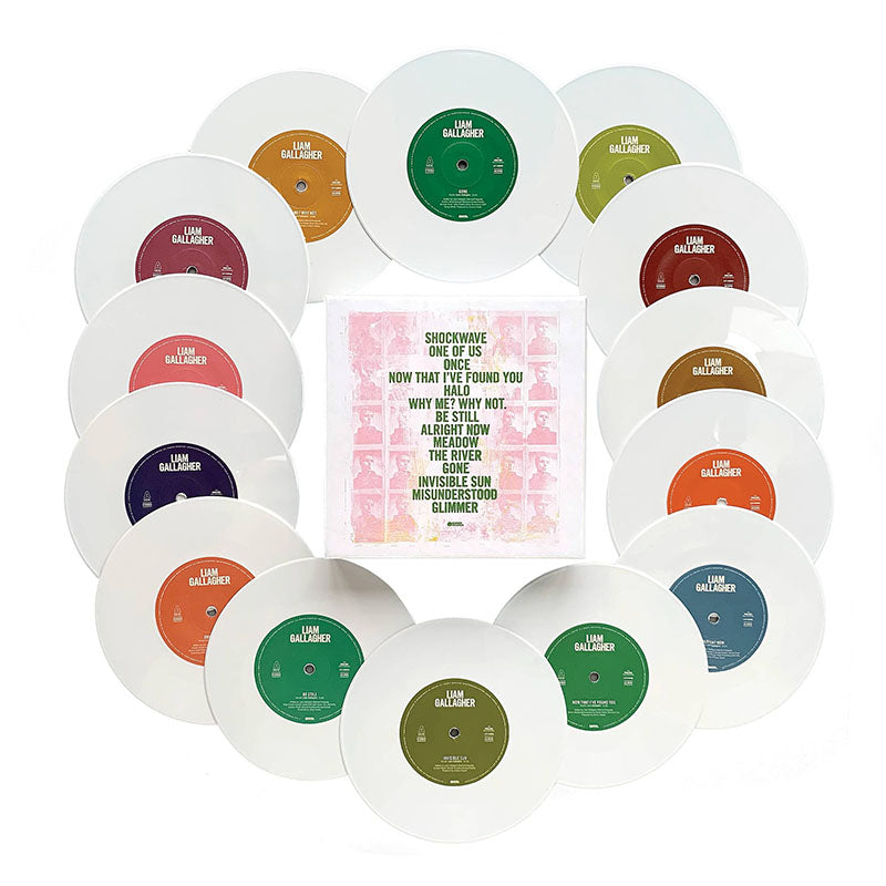 【輸入盤】Why Me? Why Not. 7" Collector Edition