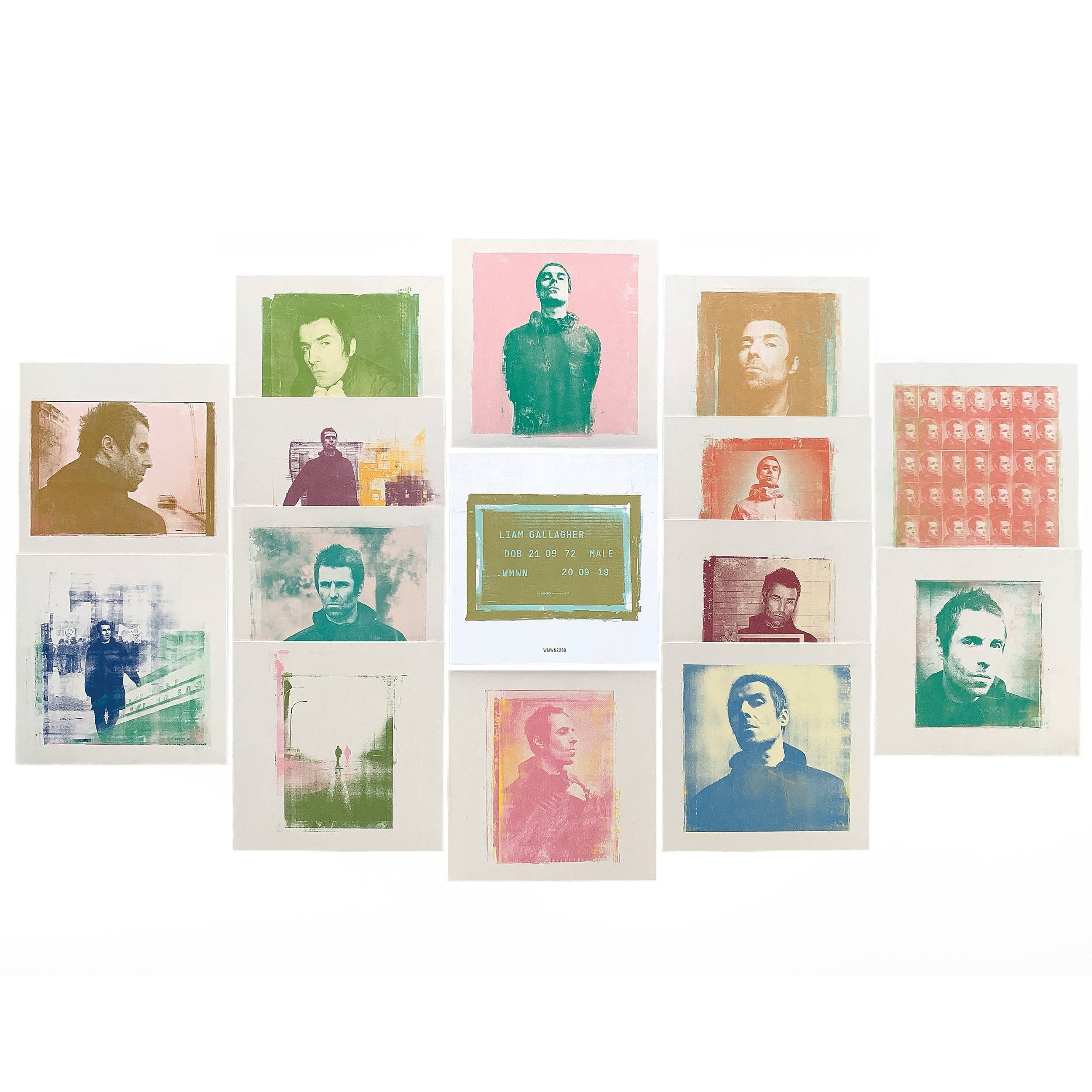 【輸入盤】Why Me? Why Not. 7" Collector Edition